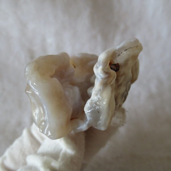 natural flower gobi agate raw desert rock mineral specimen (h59) (copy)