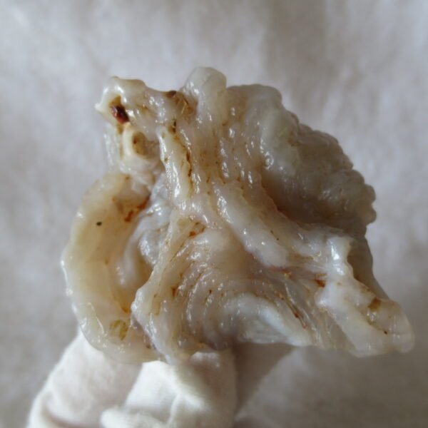 natural flower gobi agate raw desert rock mineral specimen (h61) (copy)