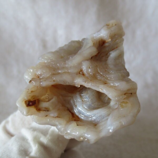 natural flower gobi agate raw desert rock mineral specimen (h61) (copy)