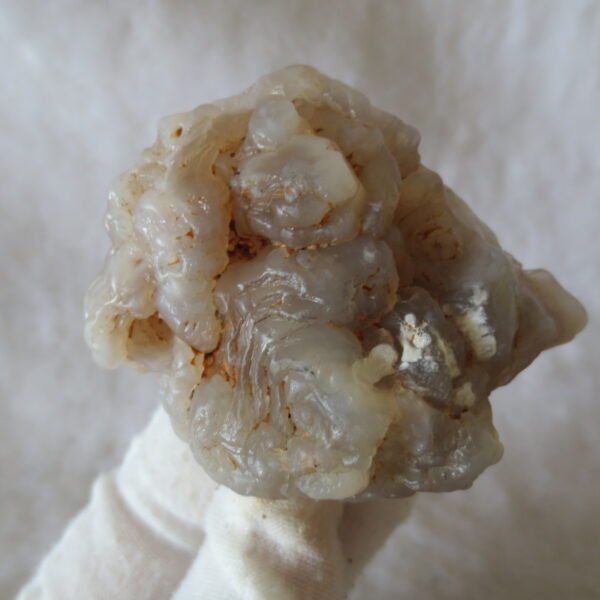 natural flower gobi agate raw desert rock mineral specimen (h61) (copy)