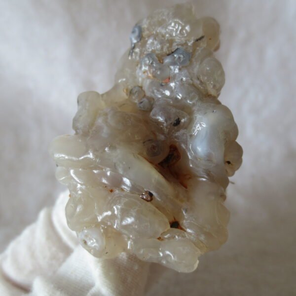 natural flower gobi agate raw desert rock mineral specimen (h63)