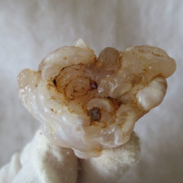 natural flower gobi agate raw desert rock mineral specimen (h63) (copy)