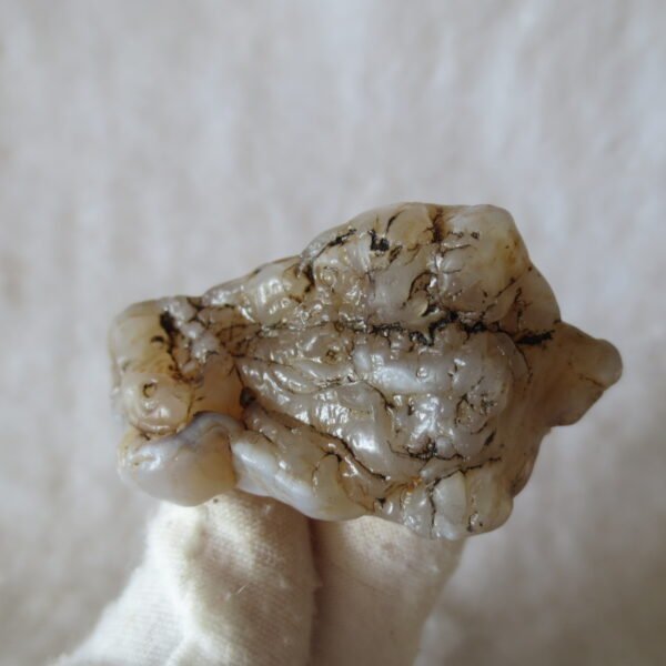 natural flower gobi agate raw desert rock mineral specimen (k115)