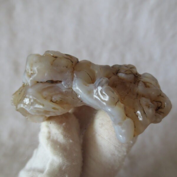 natural flower gobi agate raw desert rock mineral specimen (k115)