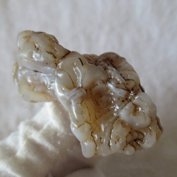 natural flower gobi agate raw desert rock mineral specimen (k115)