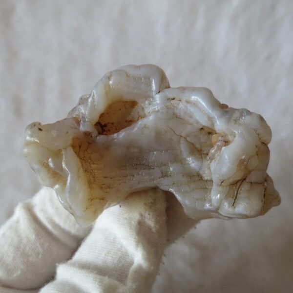 natural flower gobi agate raw desert rock mineral specimen (k115)
