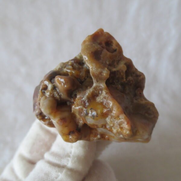 multi color gobi flower agate raw stone natural botryoidal desert agate specimen (k82) (copy)