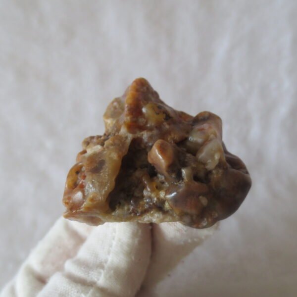 multi color gobi flower agate raw stone natural botryoidal desert agate specimen (k82) (copy)