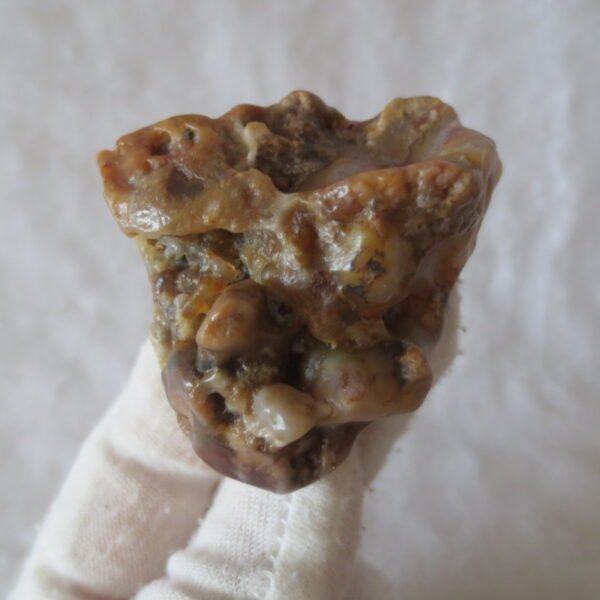 multi color gobi flower agate raw stone natural botryoidal desert agate specimen (k82) (copy)