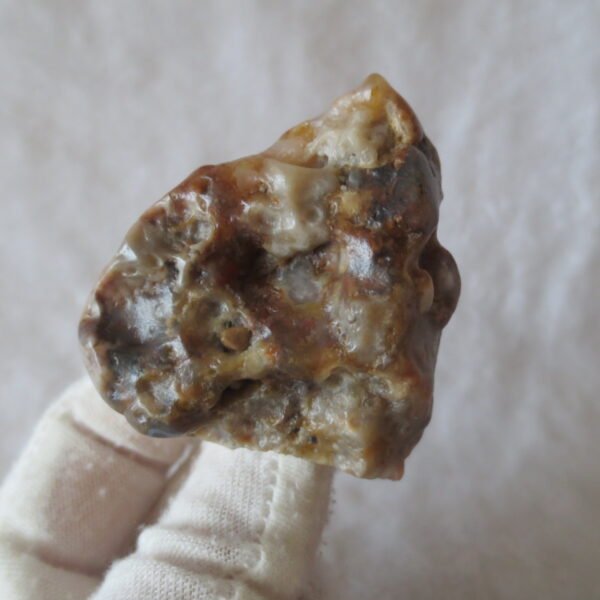 multi color gobi flower agate raw stone natural botryoidal desert agate specimen (k83)