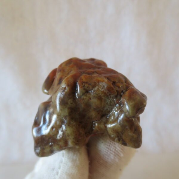 multi color gobi flower agate raw stone natural botryoidal desert agate specimen (k91) (copy)