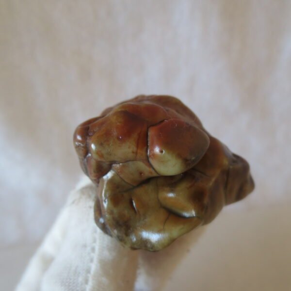 multi color gobi flower agate raw stone natural botryoidal desert agate specimen (k91) (copy)