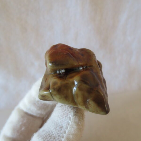 multi color gobi flower agate raw stone natural botryoidal desert agate specimen (k91) (copy)