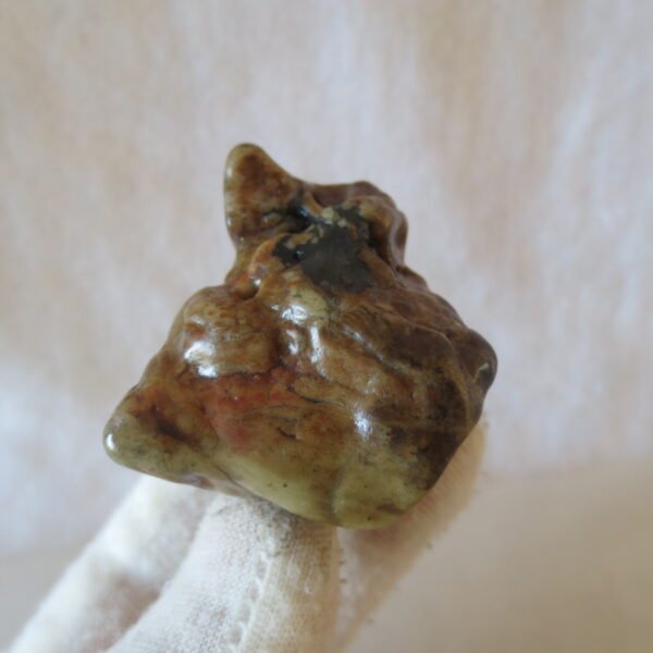 multi color gobi flower agate raw stone natural botryoidal desert agate specimen (k91) (copy)