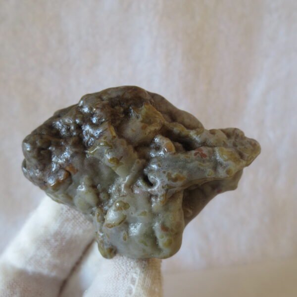 multi color gobi flower agate raw stone natural botryoidal desert agate specimen (k91)
