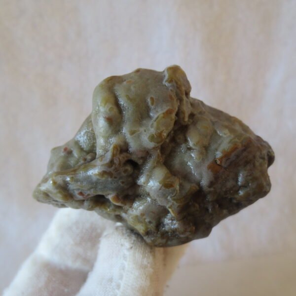 multi color gobi flower agate raw stone natural botryoidal desert agate specimen (k91)