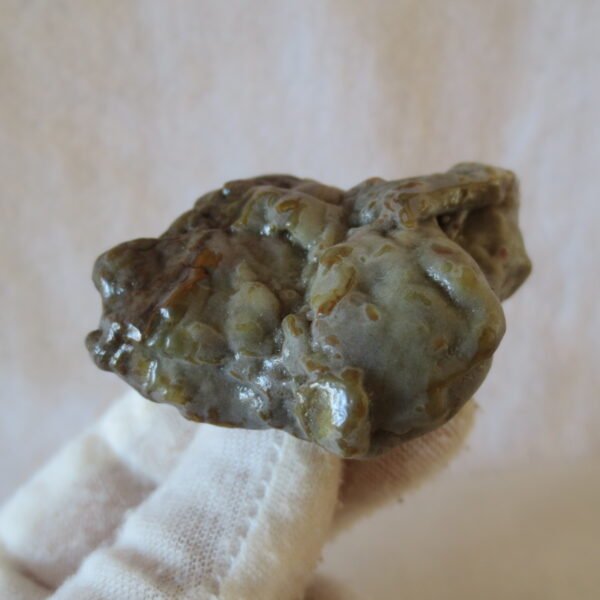 multi color gobi flower agate raw stone natural botryoidal desert agate specimen (k91)