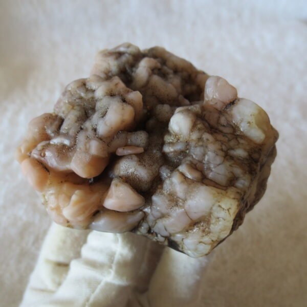 natural quartz flower gobi stone raw desert rock home decor. (g34)