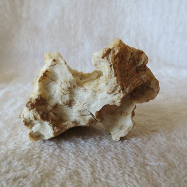 natural quartz flower gobi stone raw desert rock home decor. (g35)