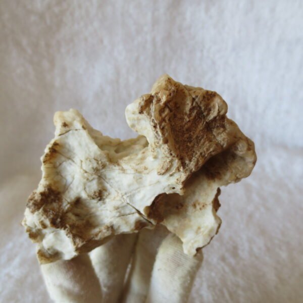 natural quartz flower gobi stone raw desert rock home decor. (g35)
