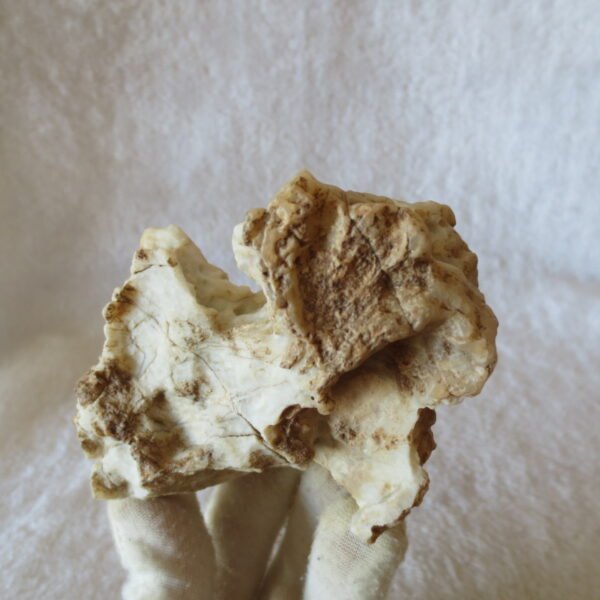 natural quartz flower gobi stone raw desert rock home decor. (g35)