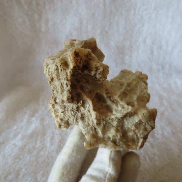 natural quartz flower gobi stone raw desert rock home decor. (g35)
