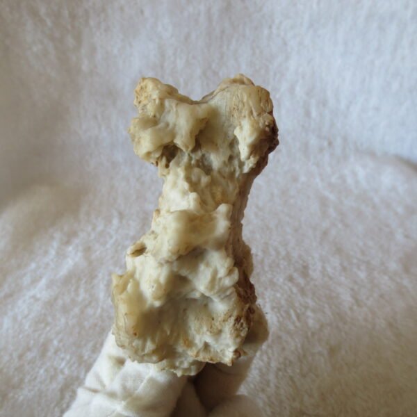 natural quartz flower gobi stone raw desert rock home decor. (g35)