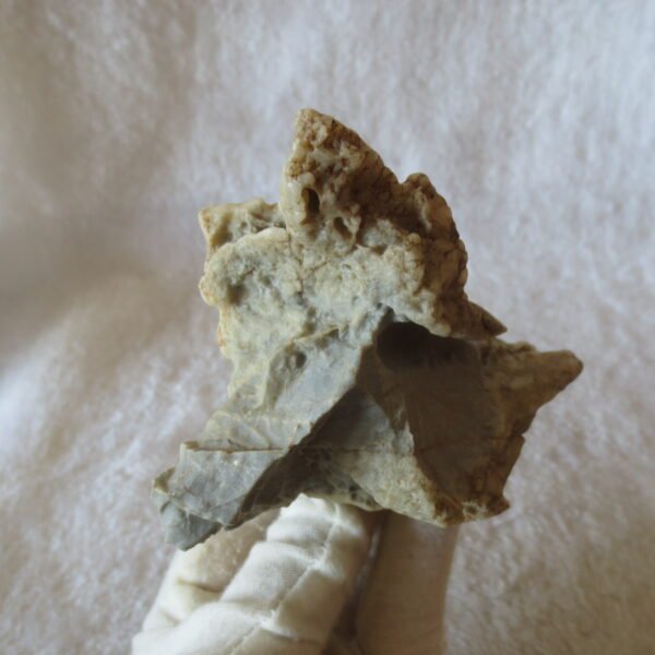 natural quartz flower gobi stone raw desert rock home decor. (g37)