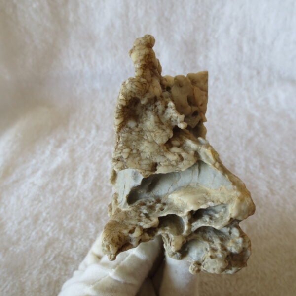 natural quartz flower gobi stone raw desert rock home decor. (g37)