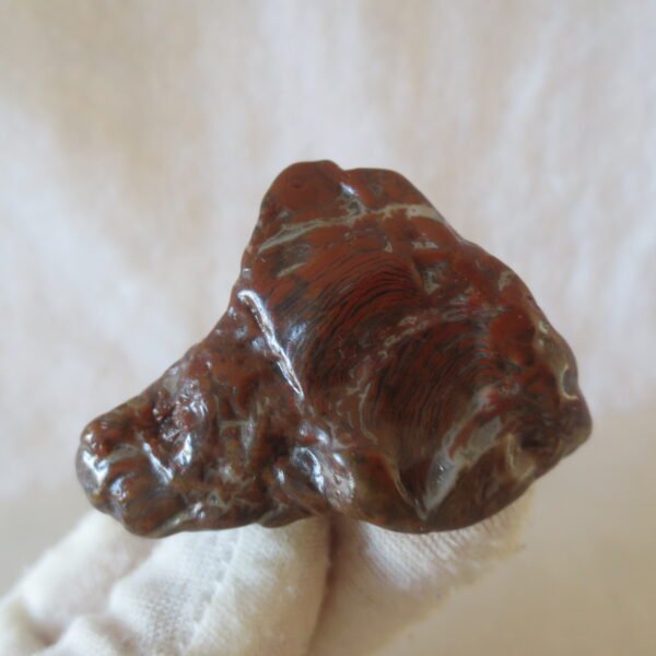 multi color gobi flower agate raw stone natural botryoidal desert agate specimen (k97)