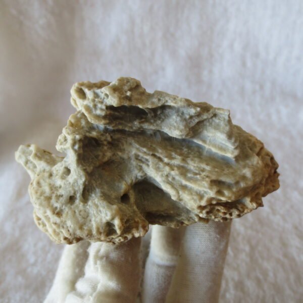 natural quartz flower gobi stone raw desert rock home decor. (g39)