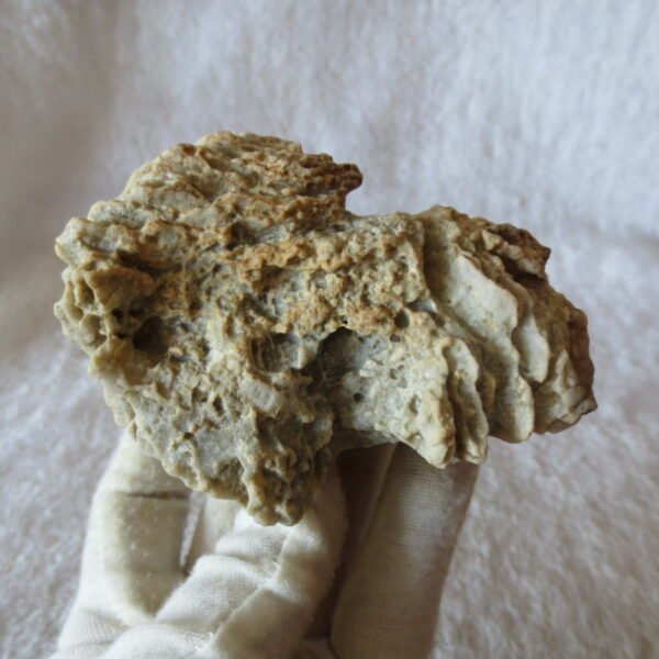 natural quartz flower gobi stone raw desert rock home decor. (g39)