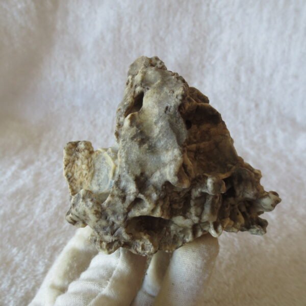 natural quartz flower gobi stone raw desert rock home decor. (g51)