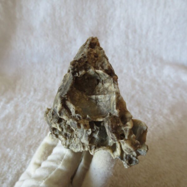 natural quartz flower gobi stone raw desert rock home decor. (g51)