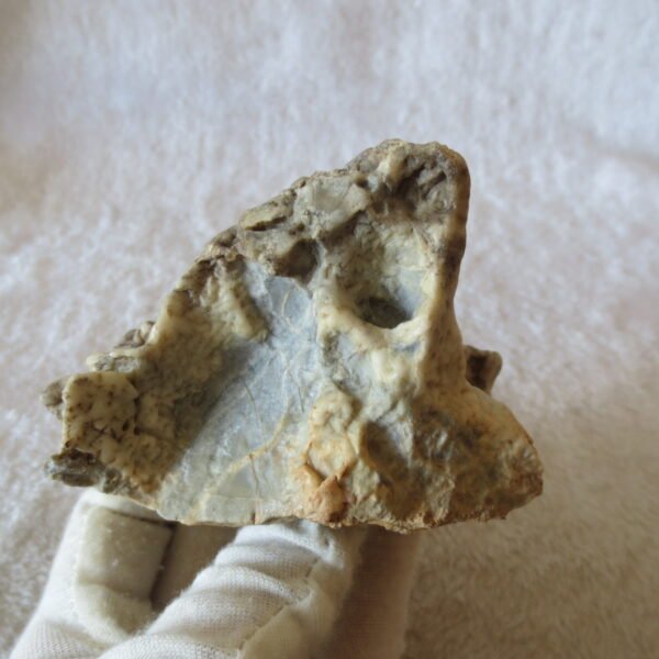 natural quartz flower gobi stone raw desert rock home decor. (g51)