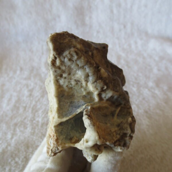 natural quartz flower gobi stone raw desert rock home decor. (g51)