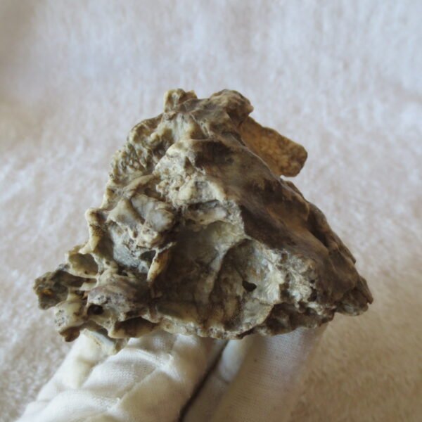 natural quartz flower gobi stone raw desert rock home decor. (g51)