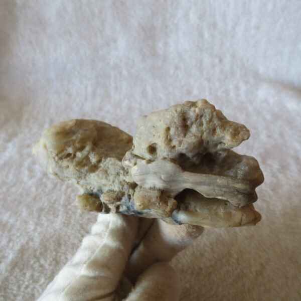 natural quartz flower gobi stone raw desert rock home decor. (g48)