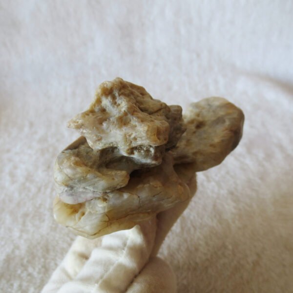 natural quartz flower gobi stone raw desert rock home decor. (g48)