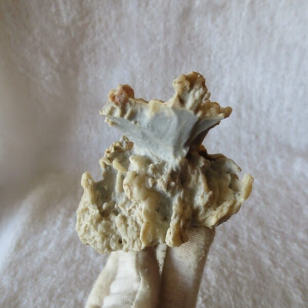 natural quartz flower gobi stone raw desert rock home decor. (g49)
