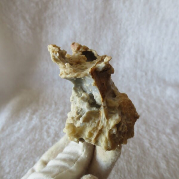 natural quartz flower gobi stone raw desert rock home decor. (g49)