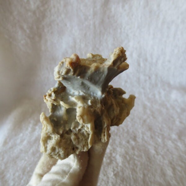 natural quartz flower gobi stone raw desert rock home decor. (g49)