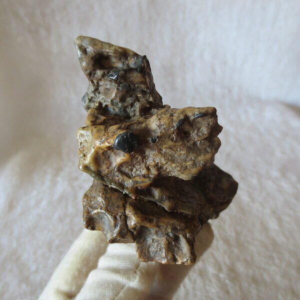 natural quartz flower gobi stone raw desert rock home decor. (g53)