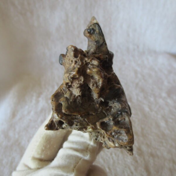 natural quartz flower gobi stone raw desert rock home decor. (g53)