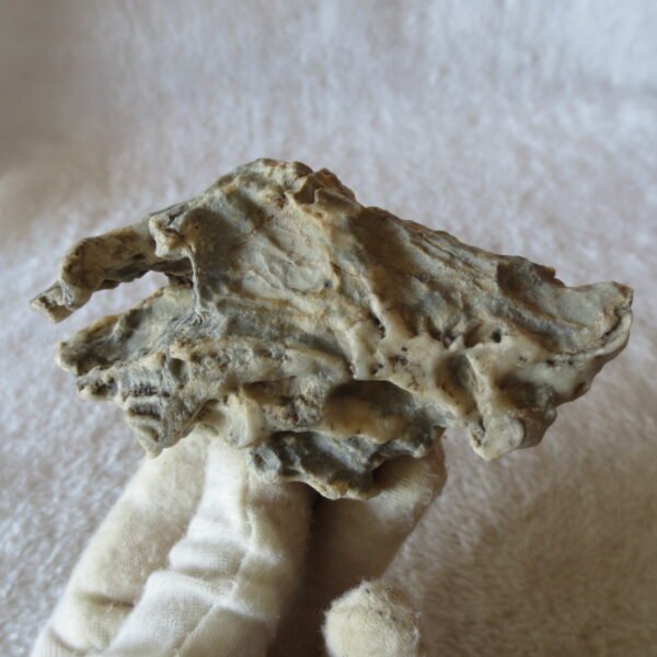 natural quartz flower gobi stone raw desert rock home decor. (g54)