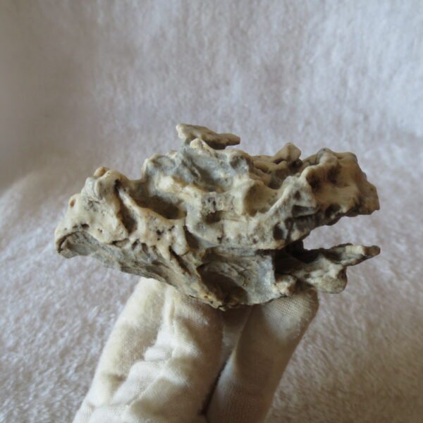 natural quartz flower gobi stone raw desert rock home decor. (g54)