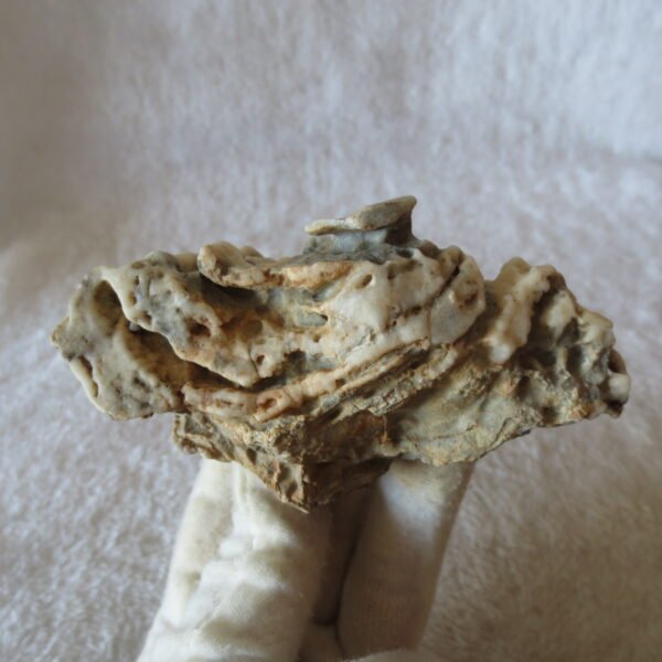 natural quartz flower gobi stone raw desert rock home decor. (g54)