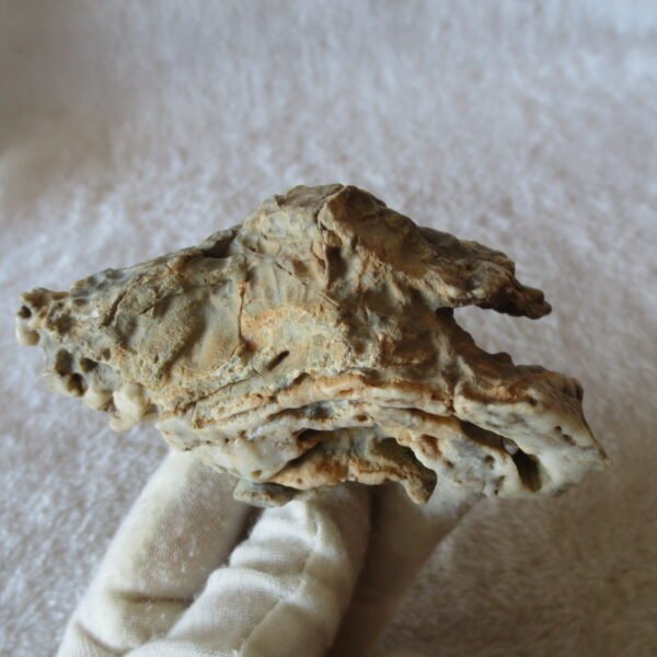 natural quartz flower gobi stone raw desert rock home decor. (g54)