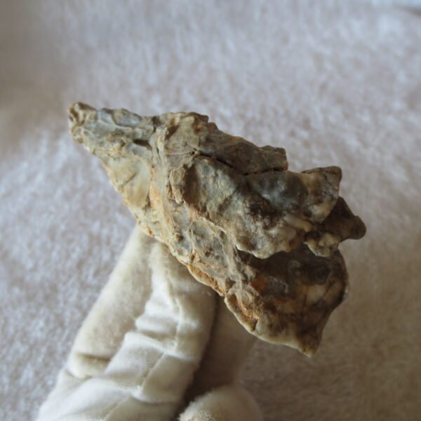 natural quartz flower gobi stone raw desert rock home decor. (g54)