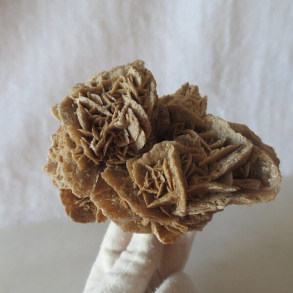 natural quartz flower gobi stone raw desert rock home decor. (g15)